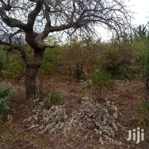 3 Acres Oloishobor at 1.8m Per Acre