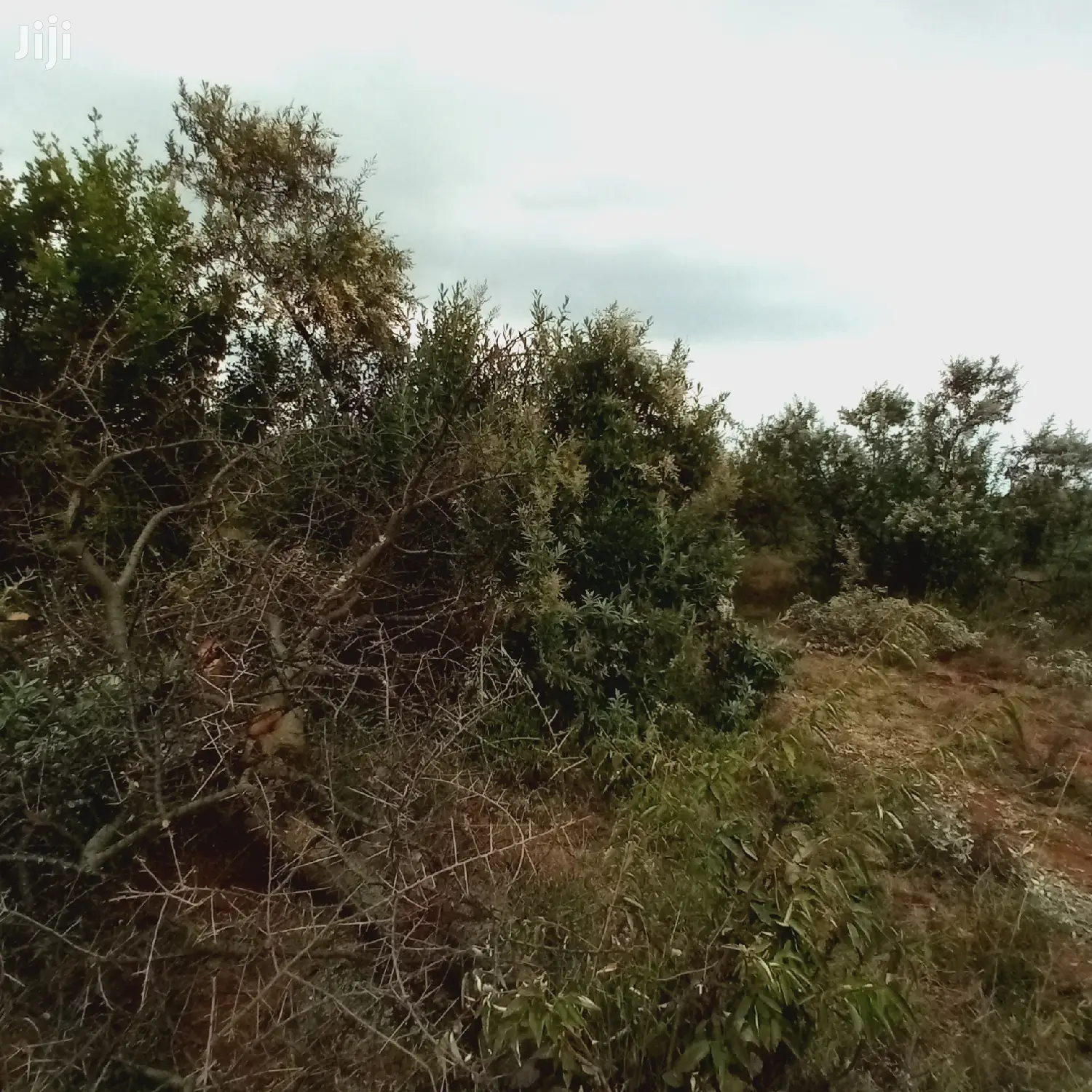 1 Acre Olkudate at 1.8m Per Acre