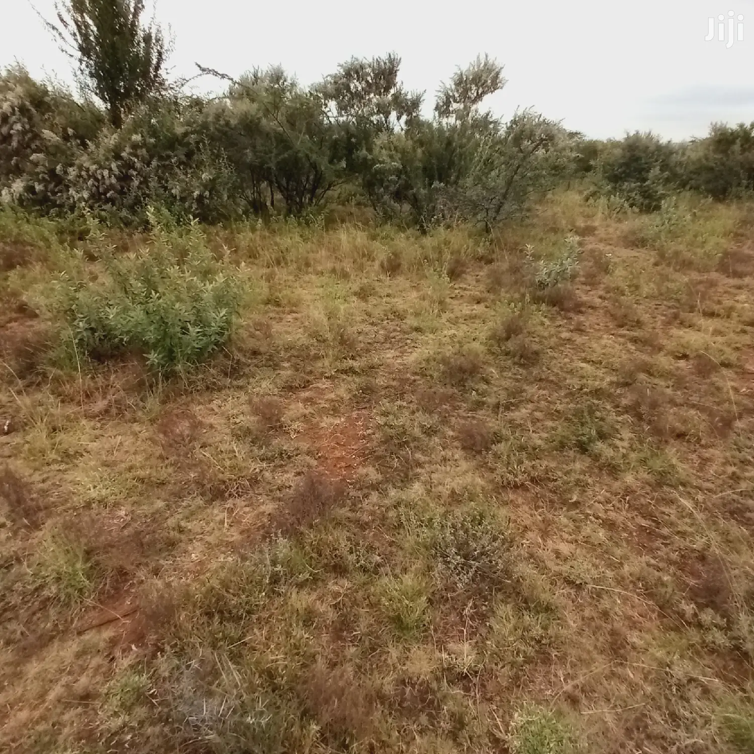1 Acre Olkudate at 1.8m Per Acre