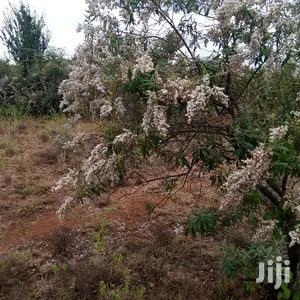 1 Acre Olkudate at 1.8m Per Acre