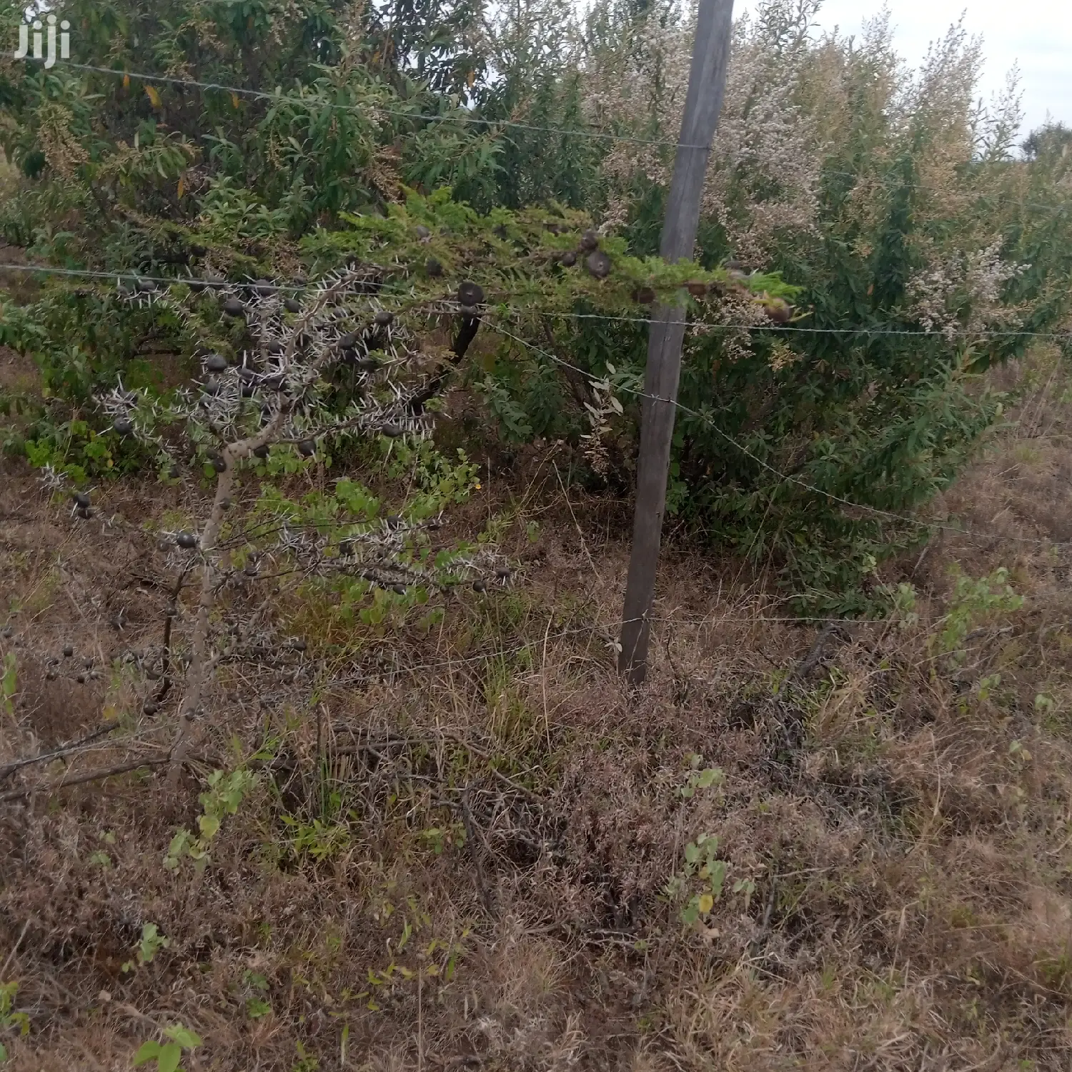 1 Acre Olkudate at 1.8m Per Acre