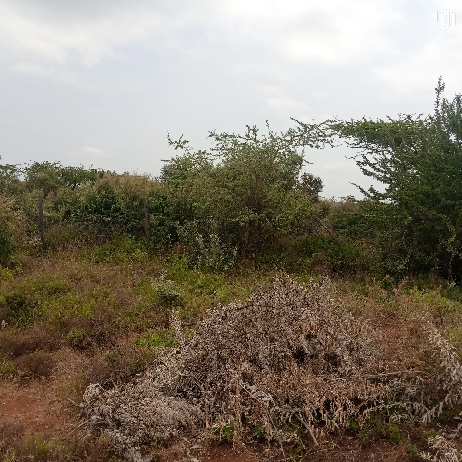 1 Acre Olkudate at 1.8m Per Acre