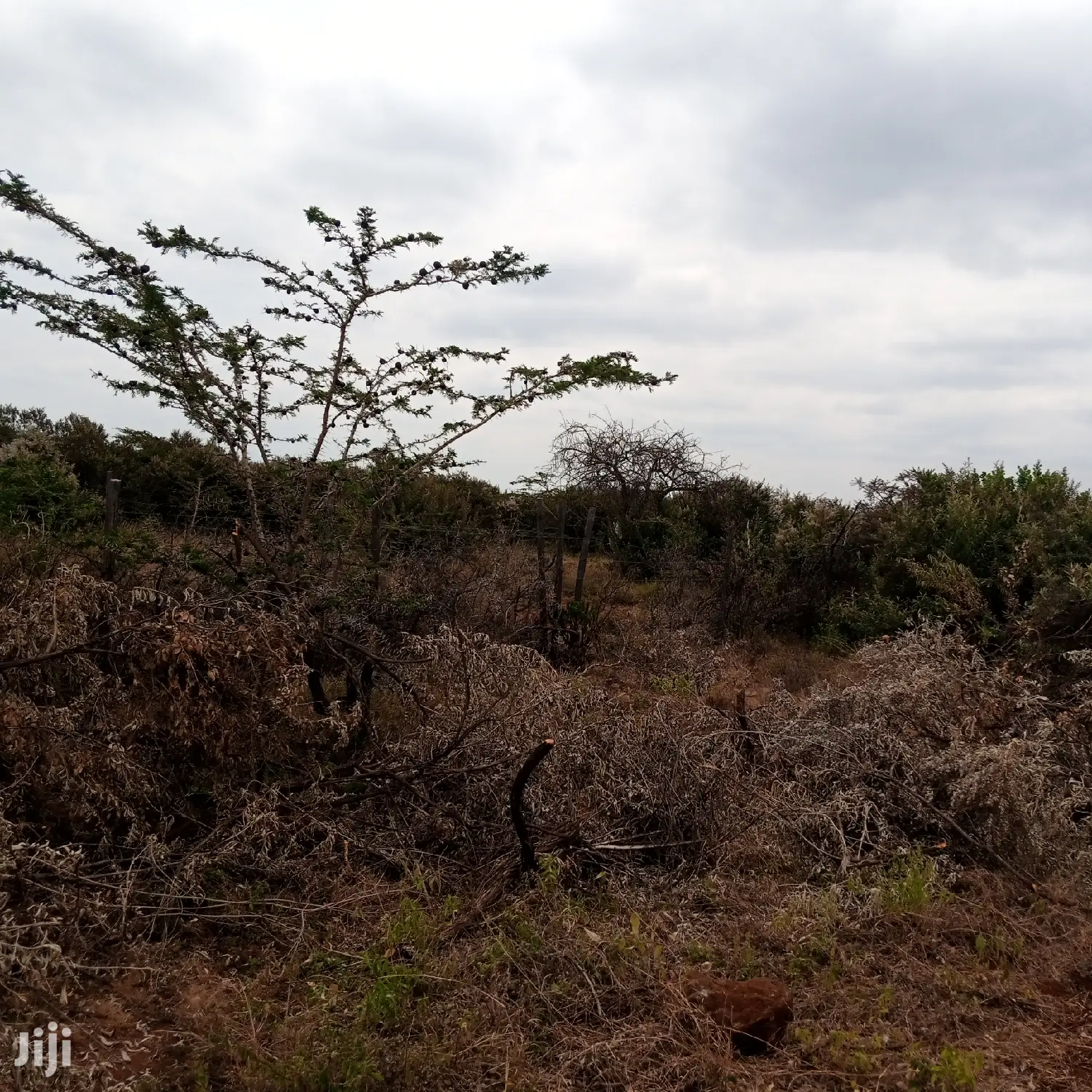 1 Acre Olkudate at 1.8m Per Acre