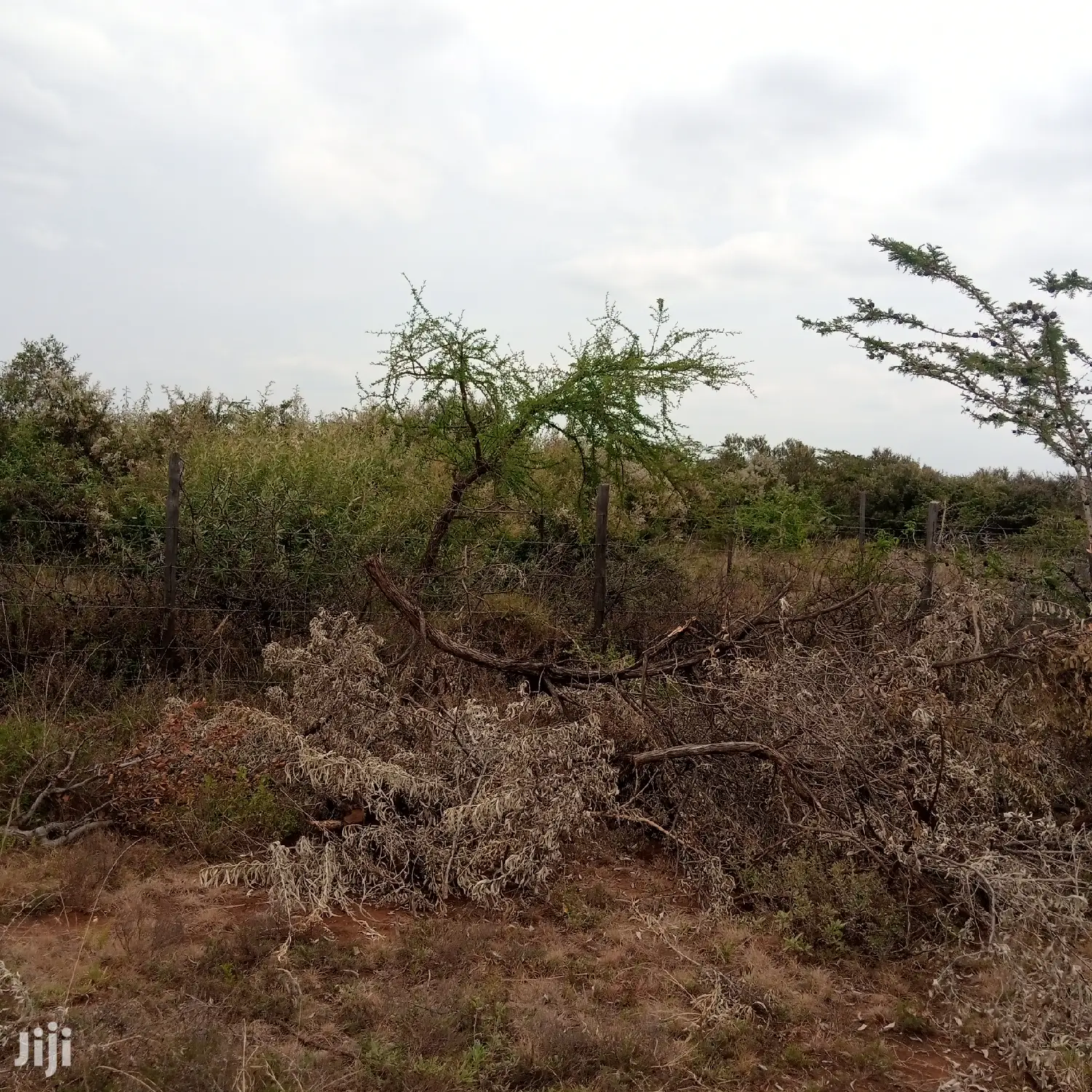 1 Acre Olkudate at 1.8m Per Acre