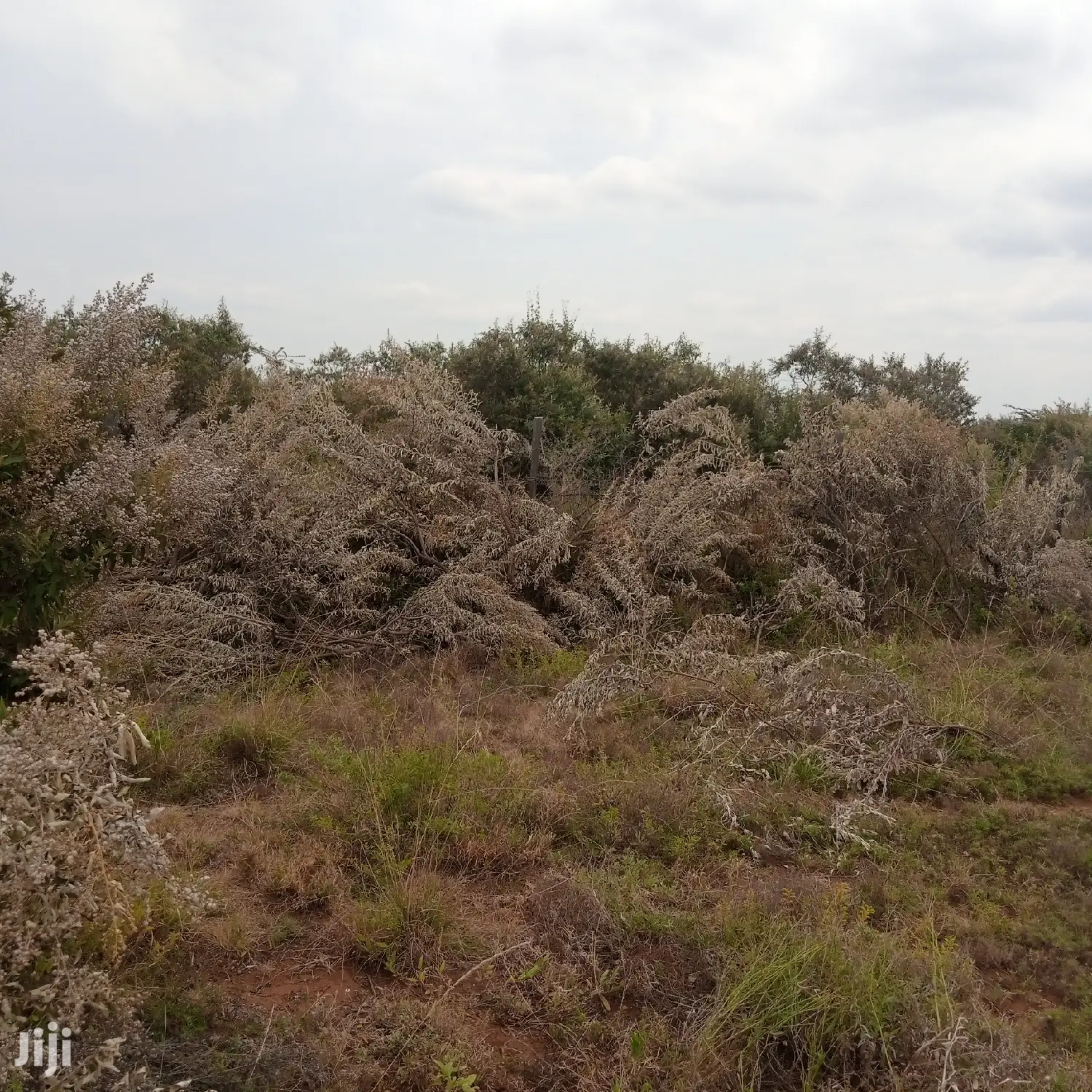 1 Acre Olkudate at 1.8m Per Acre
