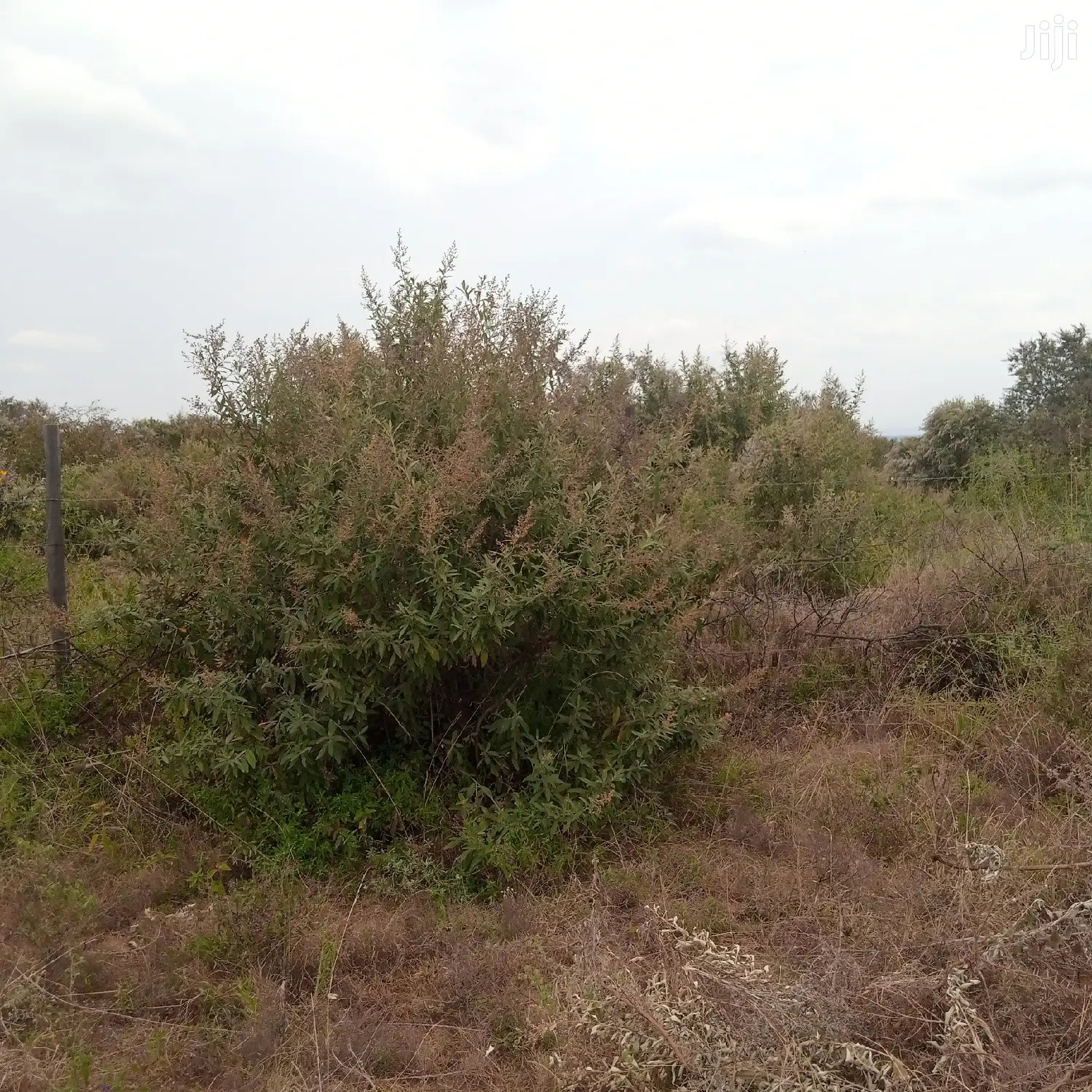 1 Acre Olkudate at 1.8m Per Acre