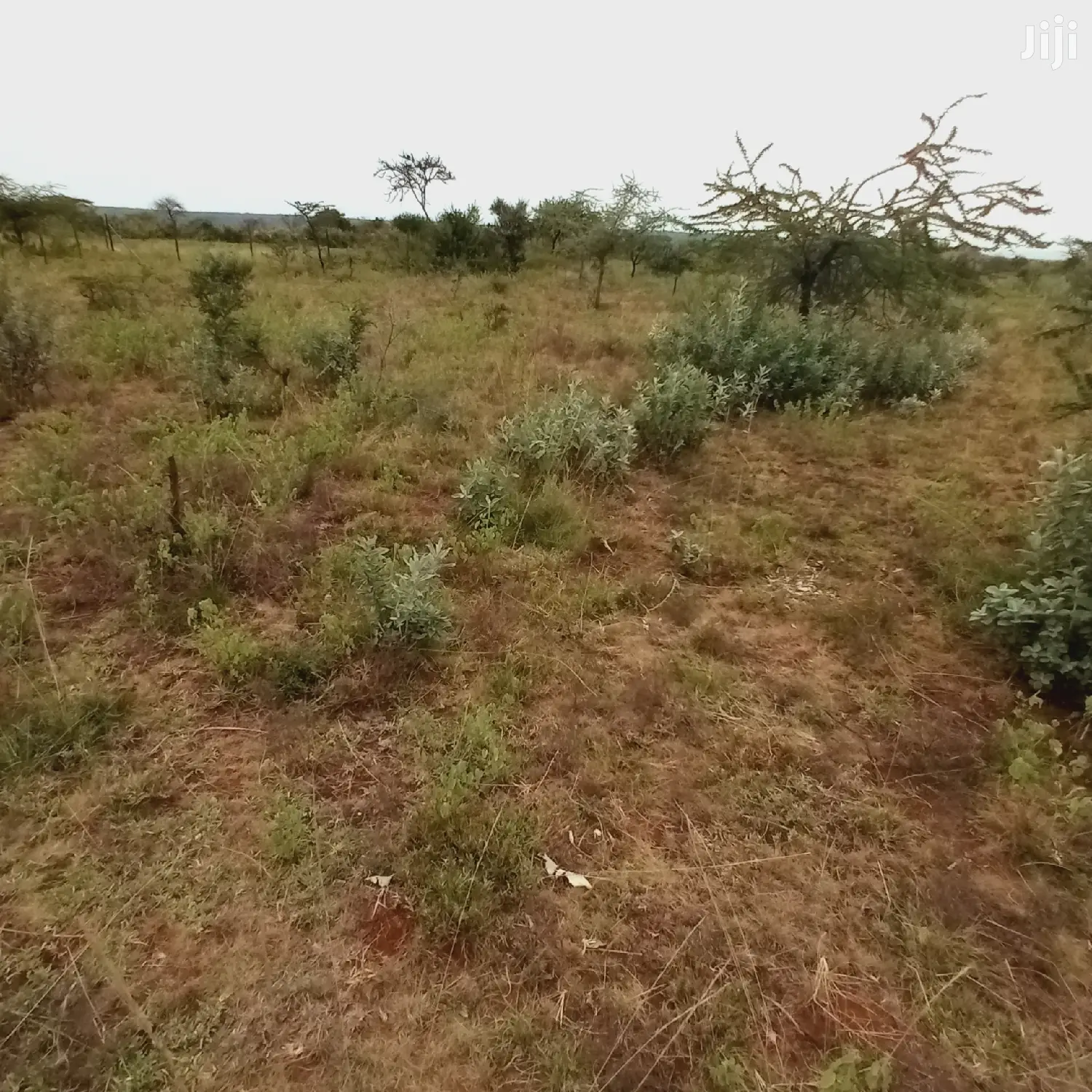 1 Acre Olkudate at 1.8m Per Acre