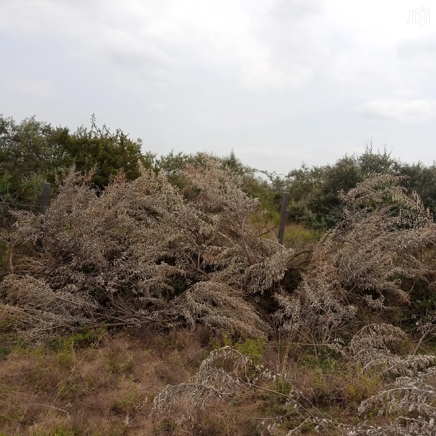 1 Acre Olkudate at 1.8m Per Acre