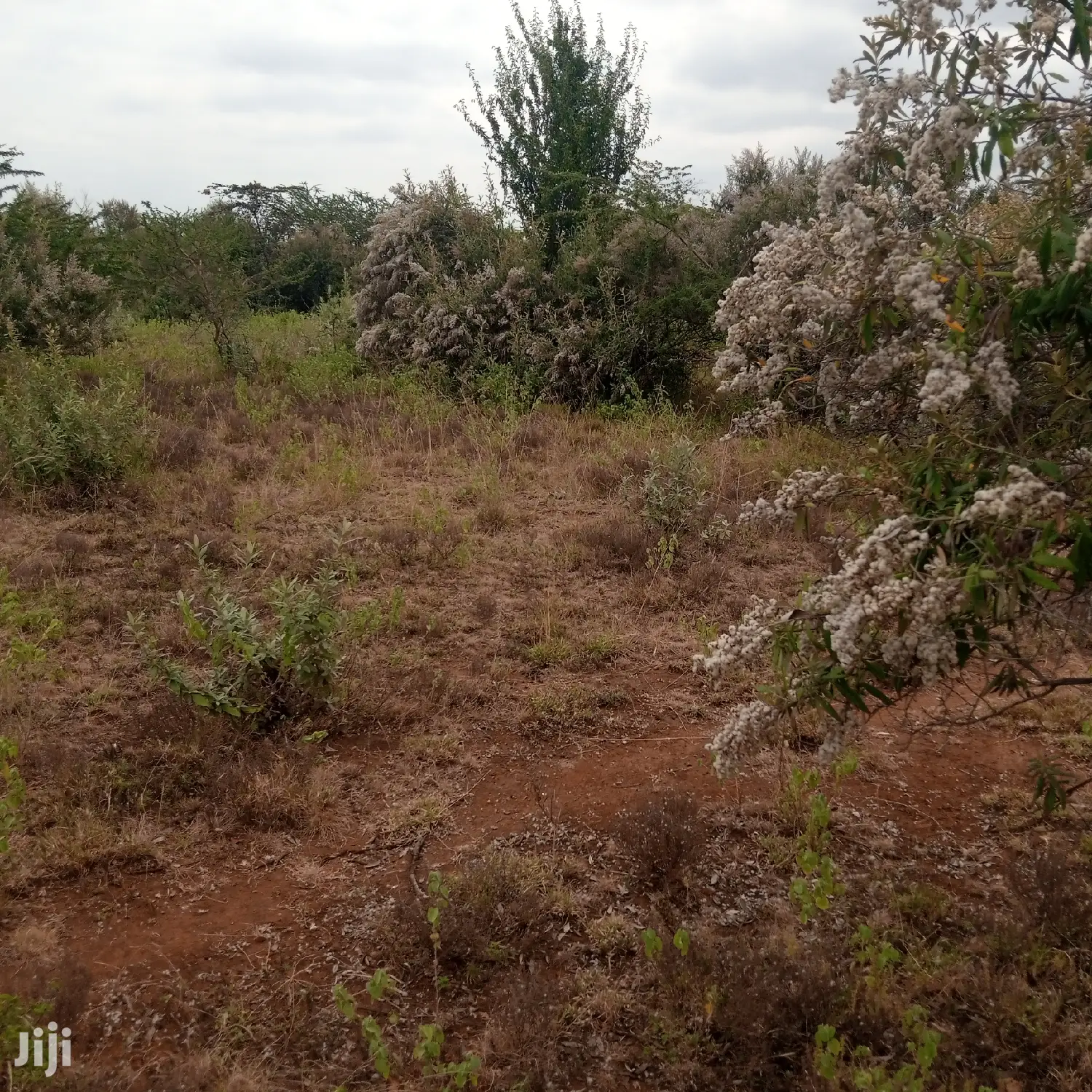 1 Acre Olkudate at 1.8m Per Acre