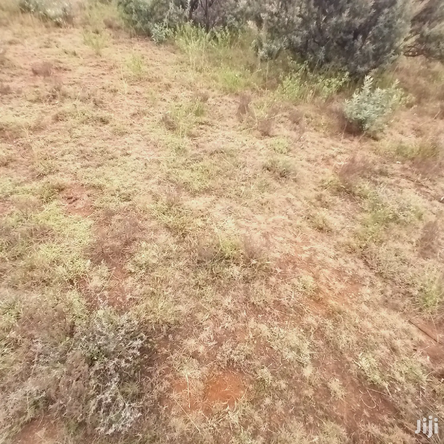 1 Acre Olkudate at 1.8m Per Acre