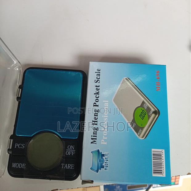 Portable Grams Scale - main view