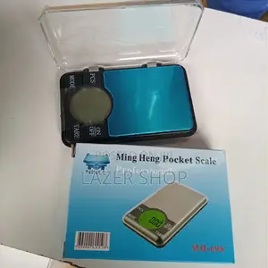 Portable Grams Scale