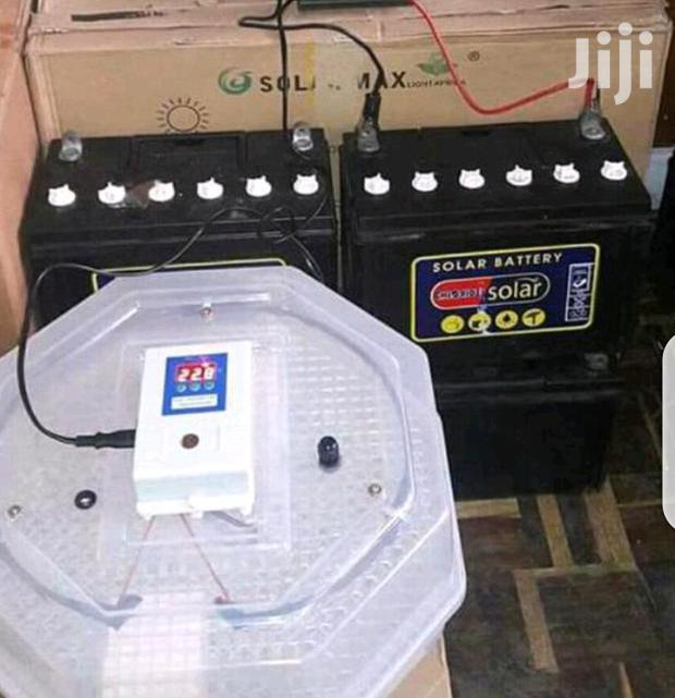 Quality Brand 60 Egg Incubator - main view