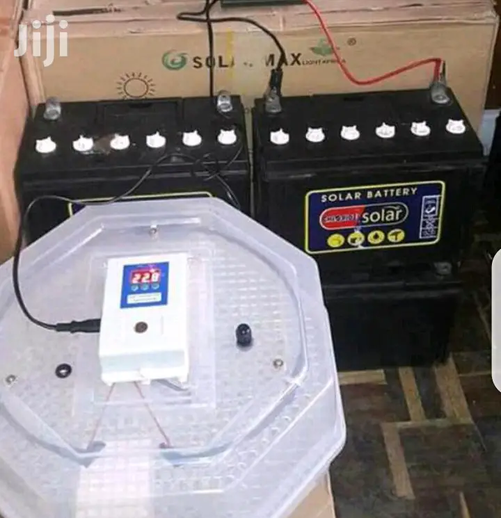 Quality Brand 60 Egg Incubator