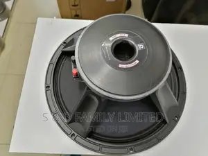 BM 15-AZ16 Midrange Naked Speaker