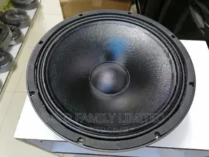 BM 15-AZ16 Midrange Naked Speaker