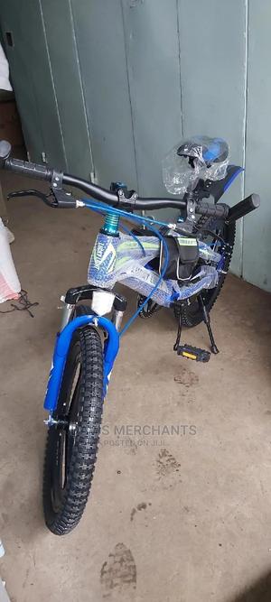 Lucky Light Size 20 With Front And Rear Disc Brake Systems - main view