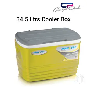 34.5 Ltr Top Quality Cooler Box