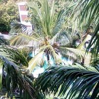 Saruji Real Estate logo