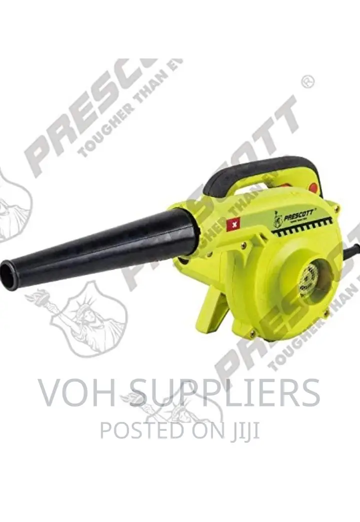 Prescott Plastic/Metal Speed Electric Air Blower 800-watt