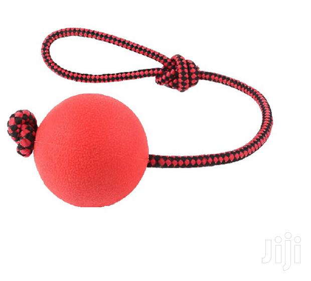 Dog Ball - Small - main view