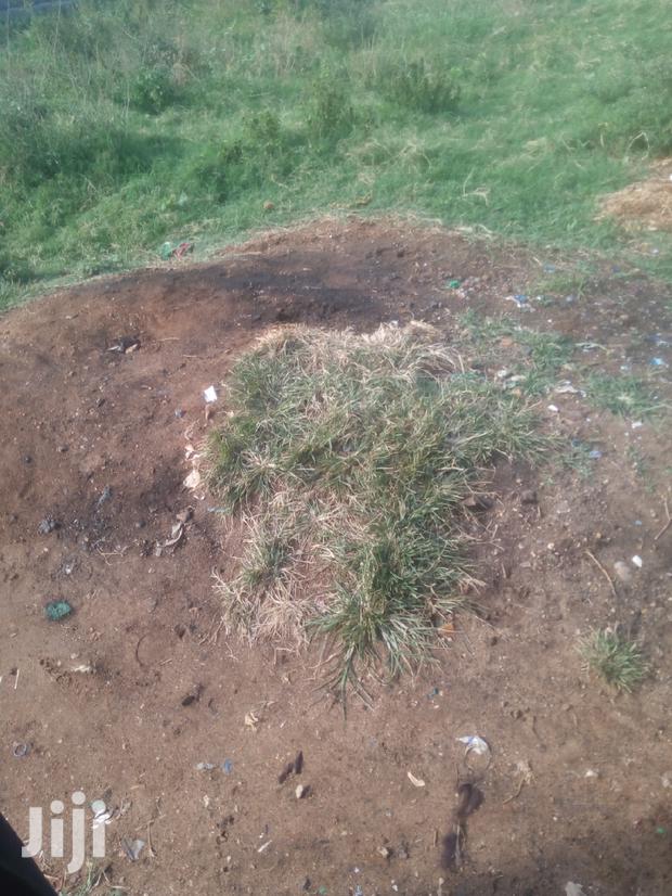 50*70 Piece Of Land On Sale - thumbnail 8