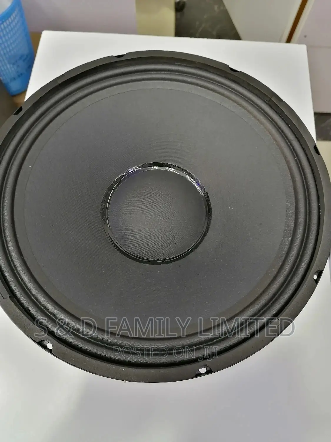 12 Inch Naked Speaker BM 12az-2