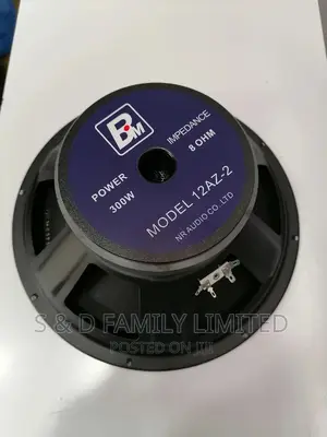 12 Inch Naked Speaker BM 12az-2