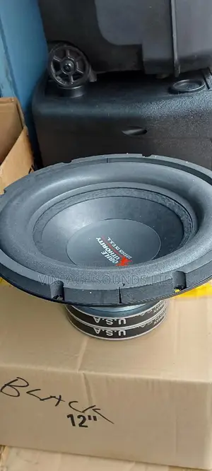 12 Inches Double Magnet Woofer Speaker