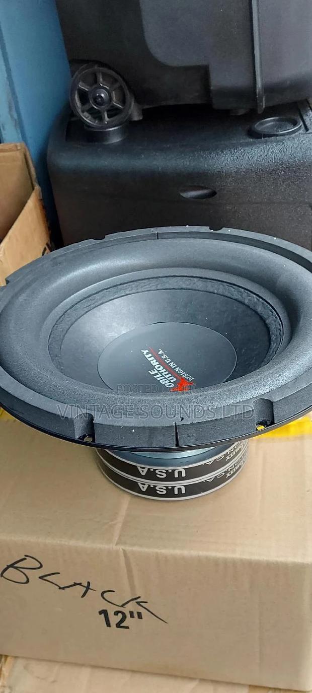 12 Inches Double Magnet Woofer Speaker