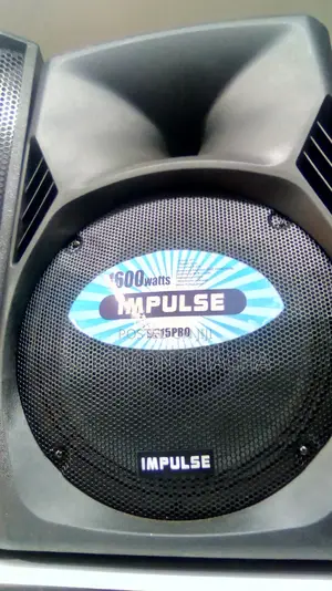 IMPULSE DS15PRO Speaker 1600w