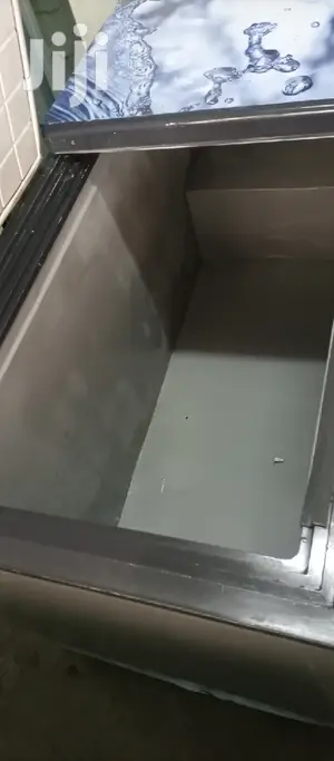 Double Door Freezer