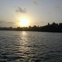 Waleeduddin logo