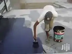 Painting Waterproofing Roof Specialist