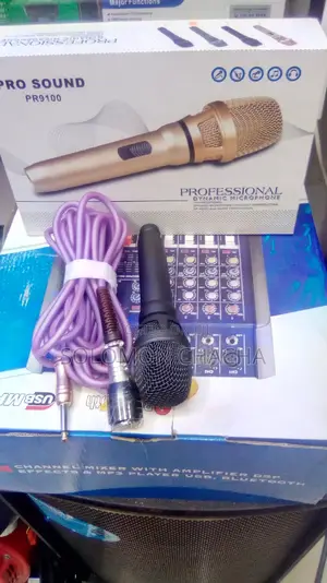 PRO SOUND Professional Microphone