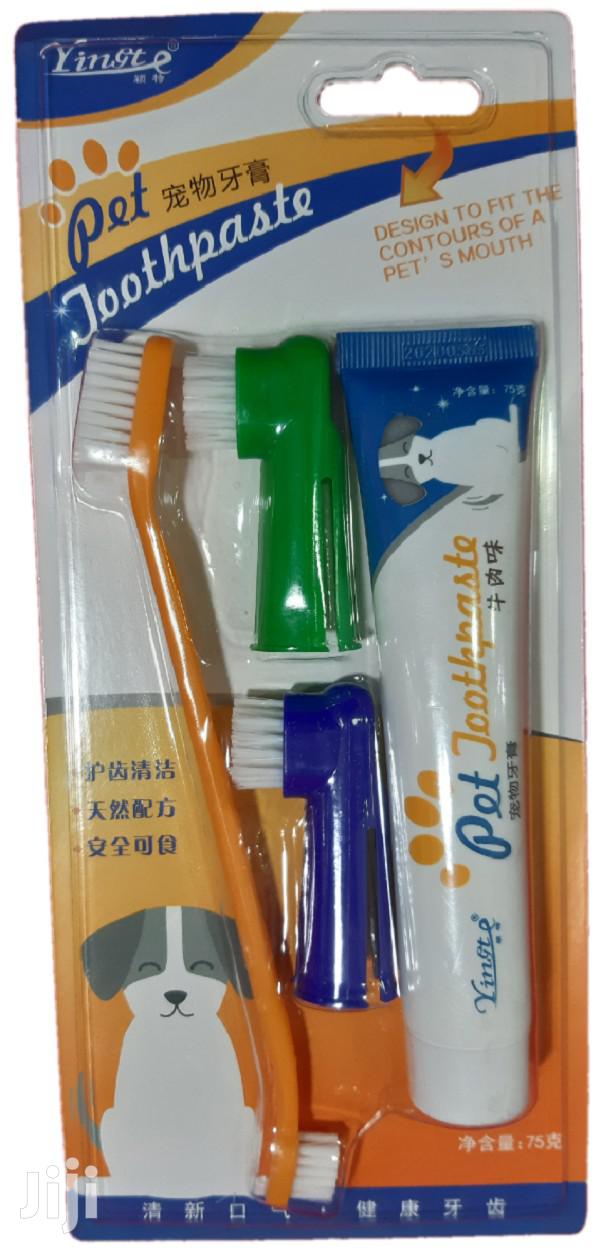 Dog Toothbrush - main view