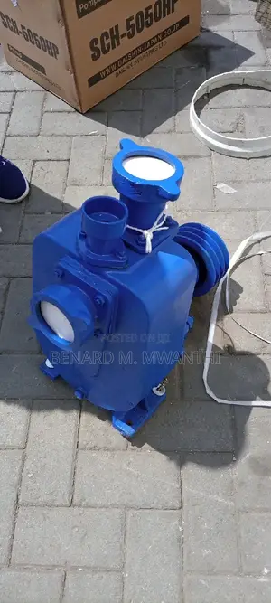 Bare Water Pumps