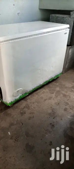 Deep Freezer 400L