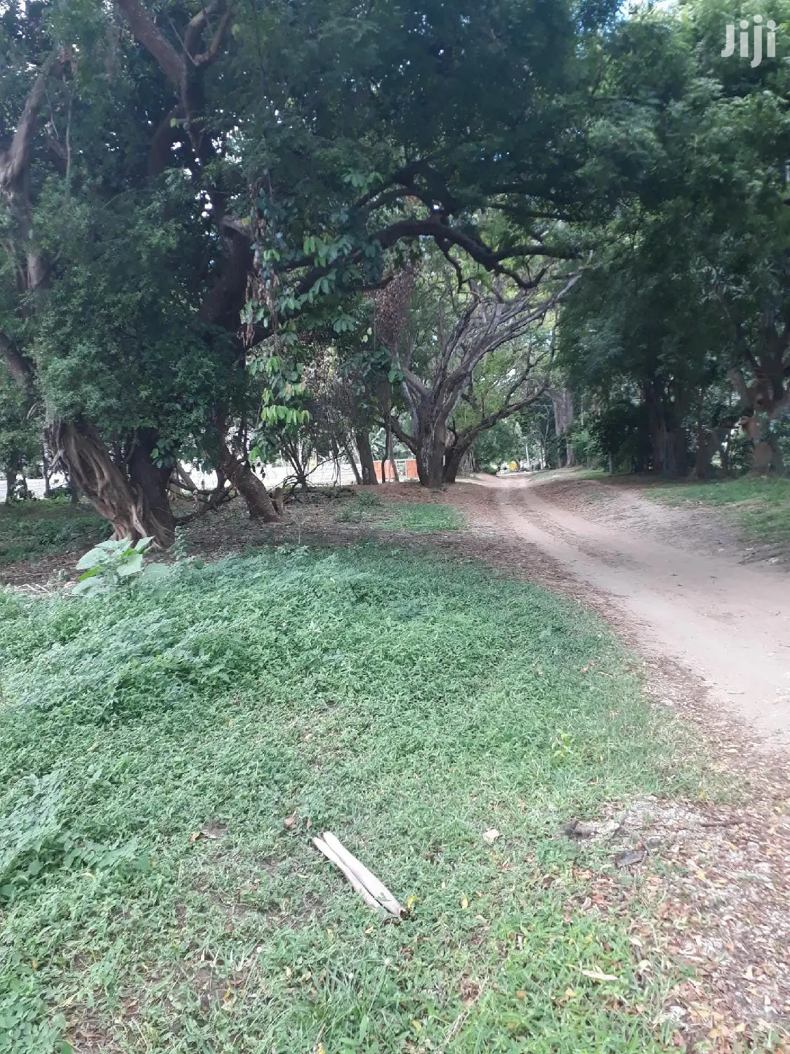 For Sale Several Quater Acre 2nd Raw Beach Plots Mtwapa.