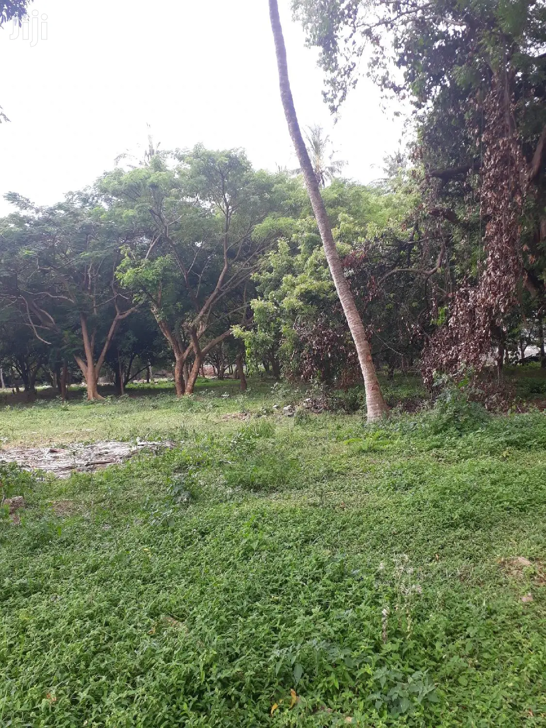 For Sale Several Quater Acre 2nd Raw Beach Plots Mtwapa.