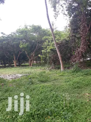 For Sale Several Quater Acre 2nd Raw Beach Plots Mtwapa.