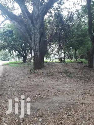 For Sale Several Quater Acre 2nd Raw Beach Plots Mtwapa.