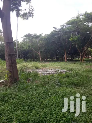 For Sale Several Quater Acre 2nd Raw Beach Plots Mtwapa.