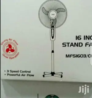 Functional Stand Fan