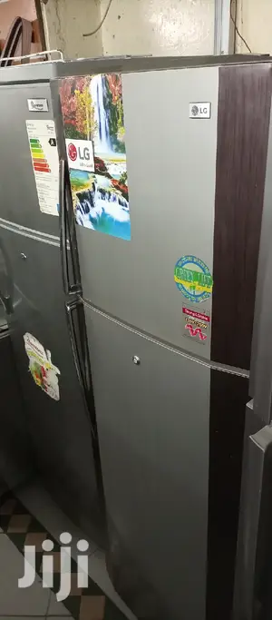 LG Fridge 300 Litres