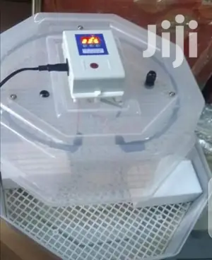 Top Latest 60 Egg Incubator Machine