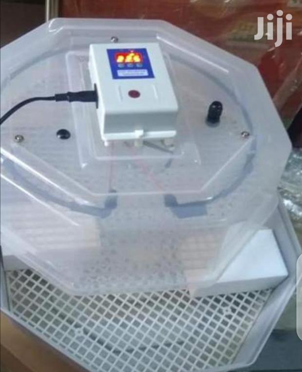 Top Latest 60 Egg Incubator Machine - main view