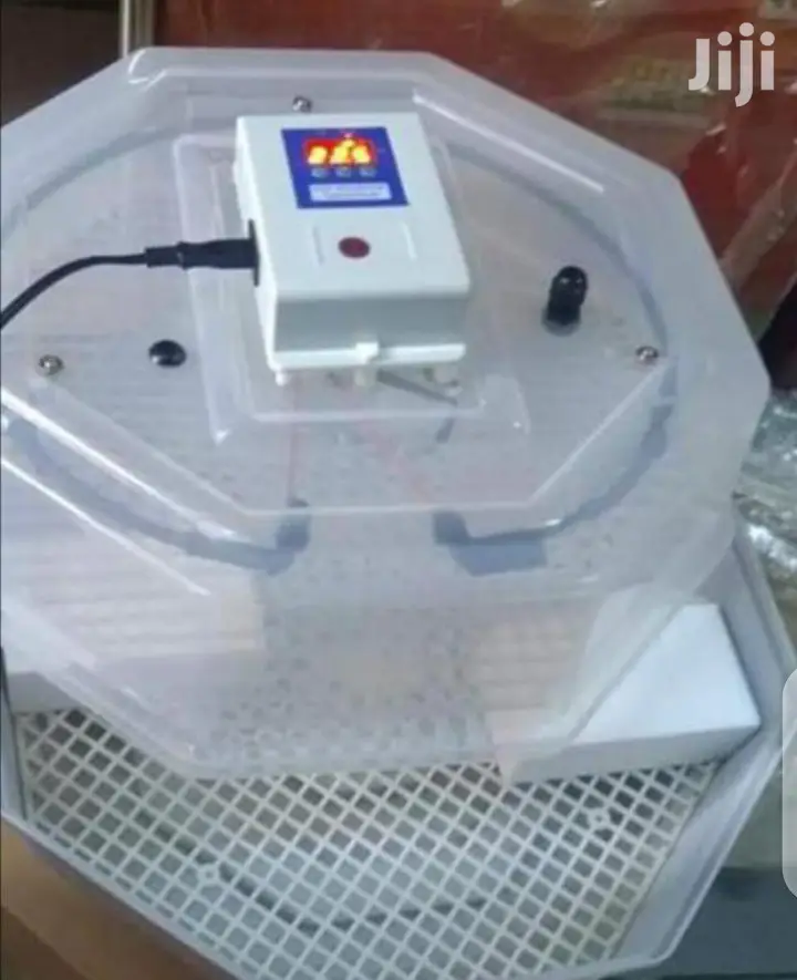Top Latest 60 Egg Incubator Machine