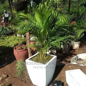 Fibre Glass Planters And Other Products.