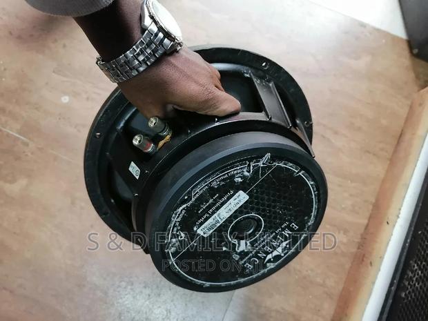 Eminence 12 Inch EX-UK Naked Speakers - main view